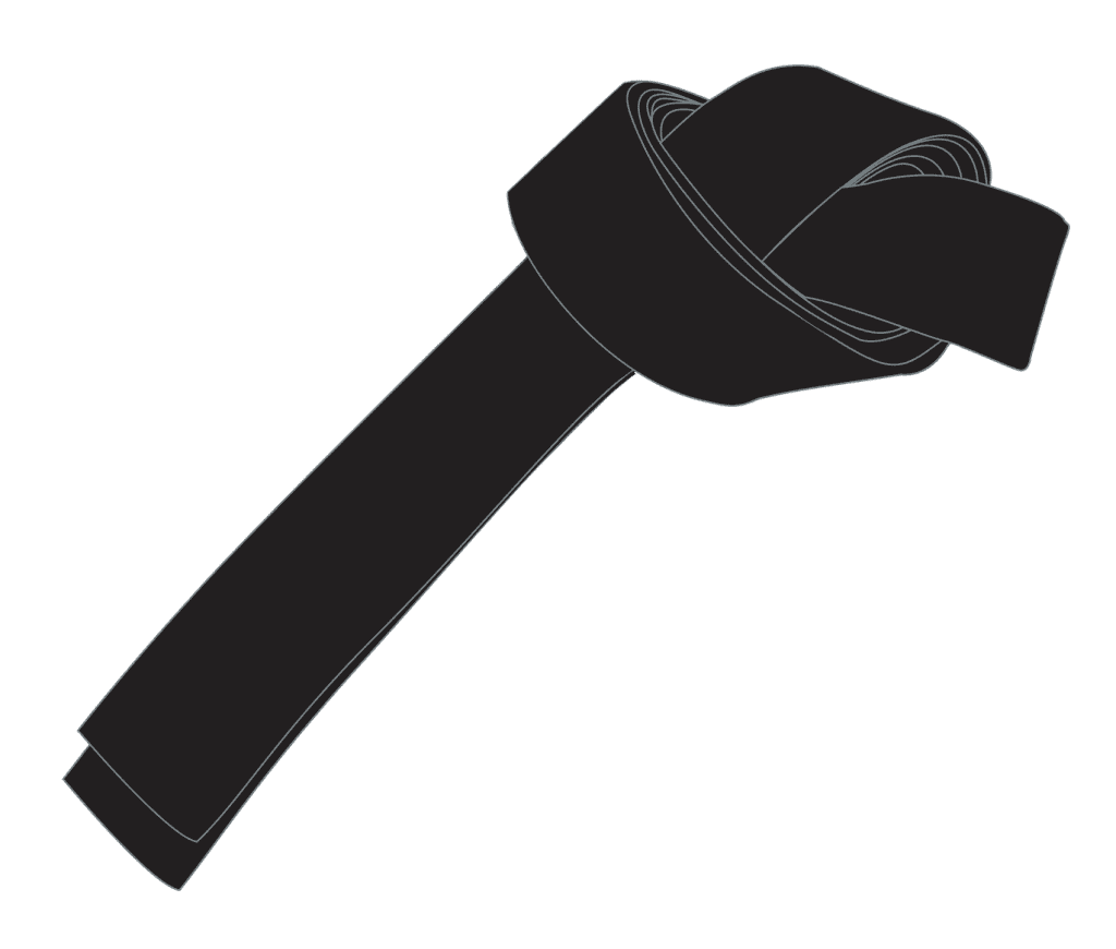 Black Belt Certification
