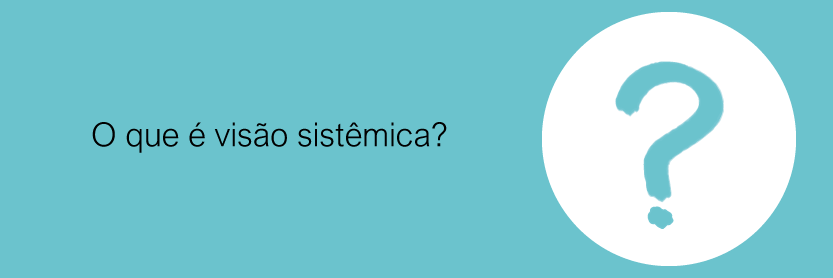 O que é visão sistêmica?