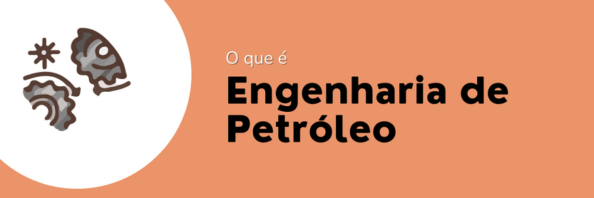 engenharia de petróleo