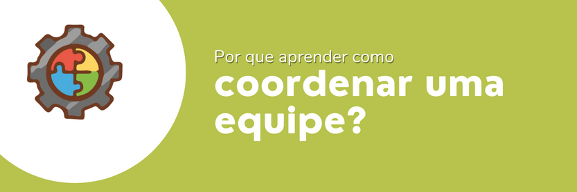 coordenar equipes