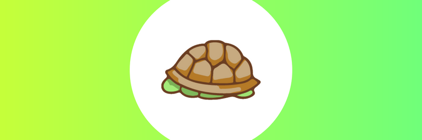 diagrama de tartaruga