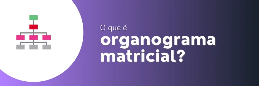 organograma matricial