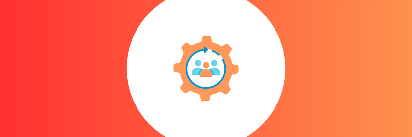 organização como sistema